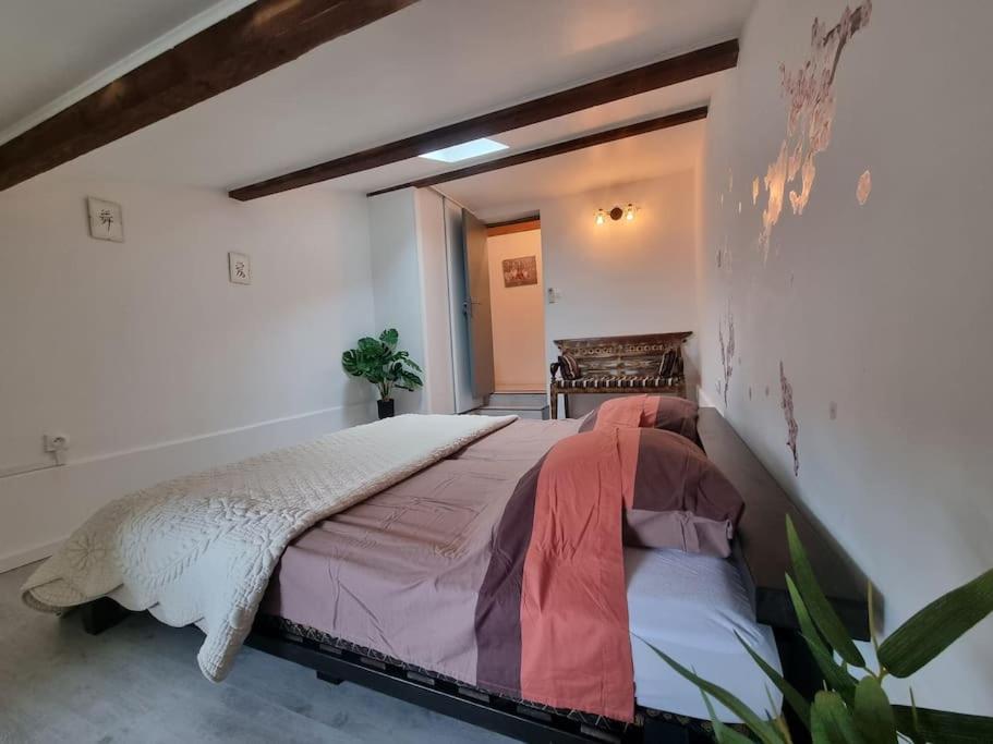 Jolie Villa Piscine A 15 Min Du Barcares Salses-le-Château Eksteriør billede